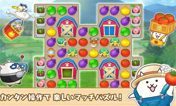 ���Ǵ����è���ٷ������ͼ