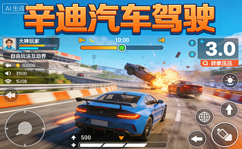 ����������ʻ