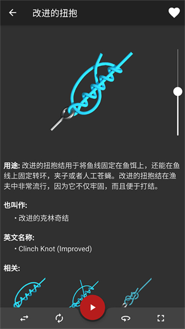 Knots 3D(3D结绳app)最新版截图3