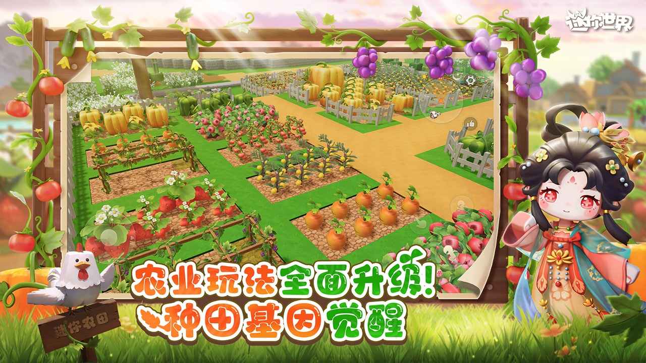 ��������Ӧ�ñ����ͼ0