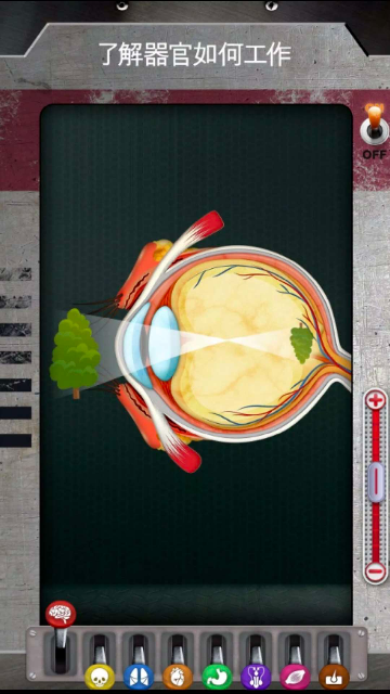 人体是如何运作的截图