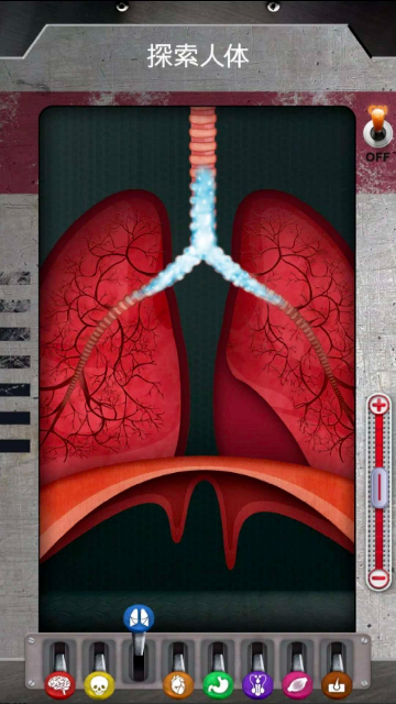 人体是如何运作的截图