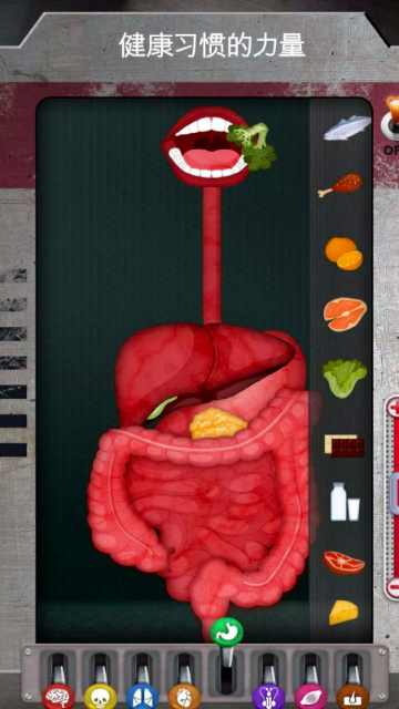 人体是如何运作的截图