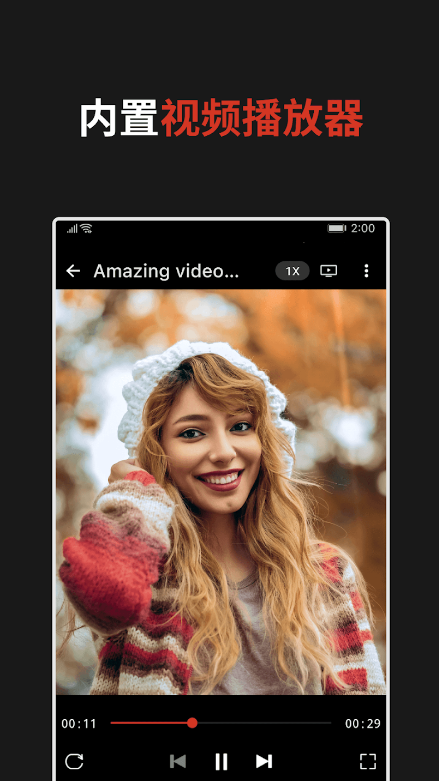 WDownloader��Ƶ��������ͼ