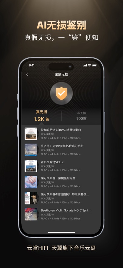 ����HIFI��������app��ͼ4