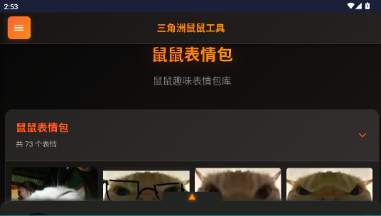 三角洲鼠鼠工具查战绩软件 三角洲鼠鼠工具查战绩软件