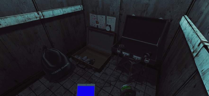 the phenomenon���İ�ٷ�����