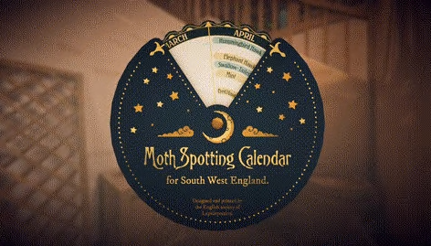 波坦尼庄园游戏 波坦尼庄园游戏