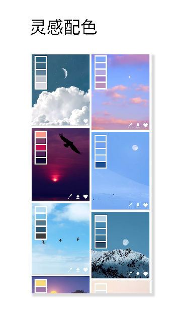 ��ɫ��ɫ�����ٷ�����