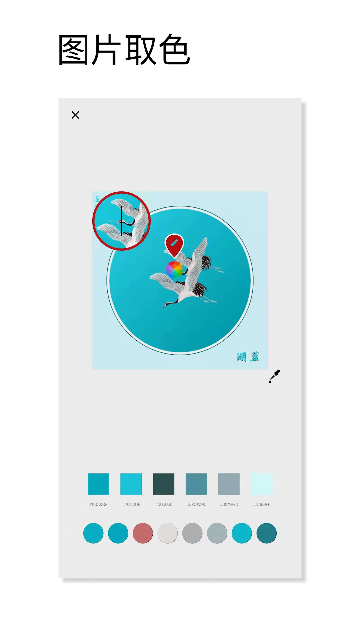 ��ɫ��ɫ�����ٷ�����