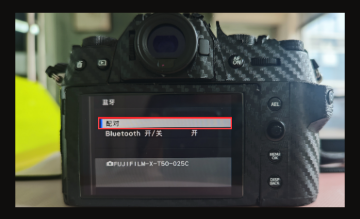 Camera Monitor Remote