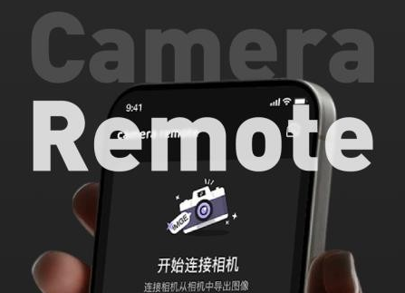 Camera Monitor Remote