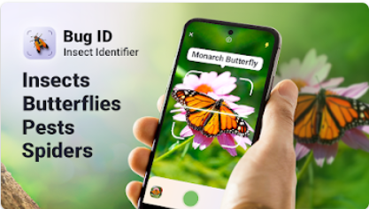 Bug ID����ʶ����������