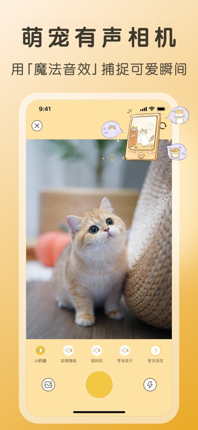 好好养宠物app安卓版 好好养宠物app安卓版