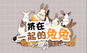 ����һ�������