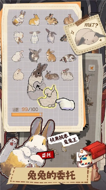 ����һ�������