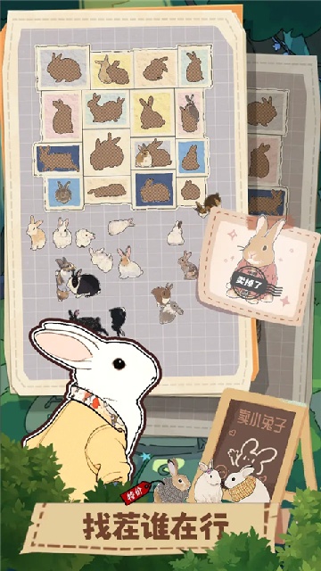 ����һ�������