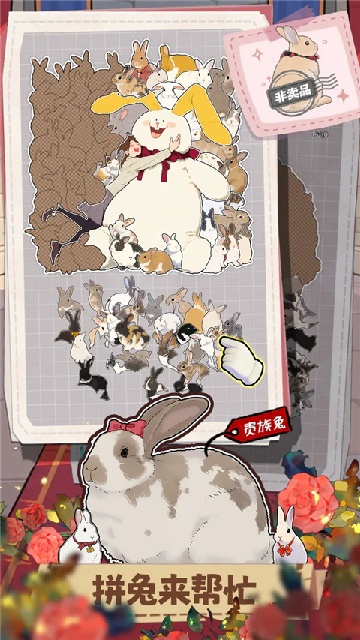 ����һ�������