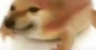 �ҵĵ��ܱ�̬��