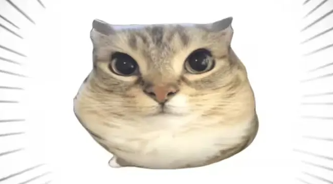 巴巴博一音效库 巴巴博一音效库