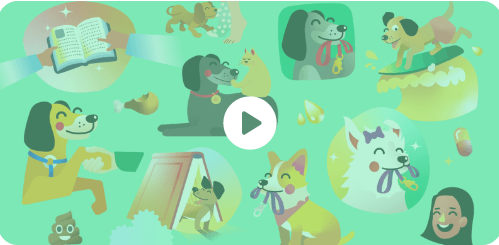 Dogo����ѵ������