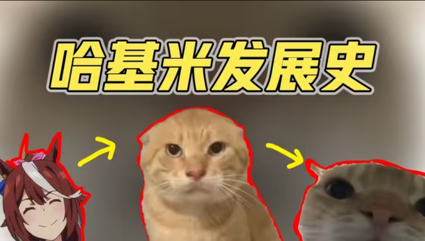 ��������Ϸ��ȫ