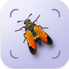 Bug ID����ʶ����������1.4.4 ���°�