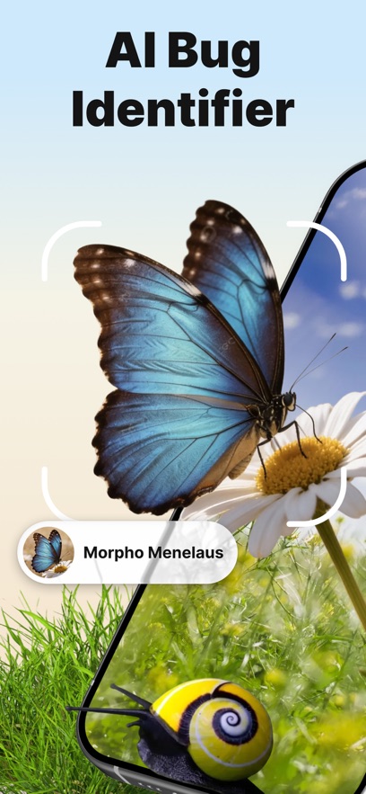 Bug ID����ʶ������������ͼ