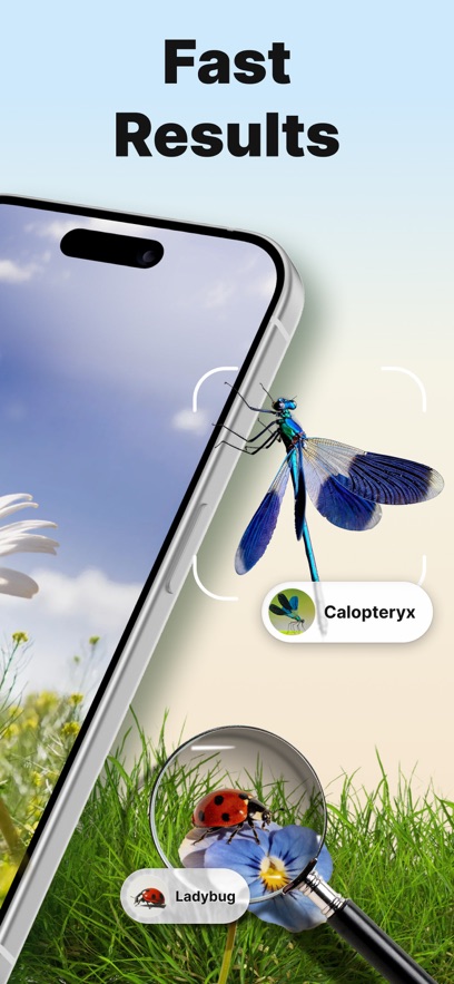 Bug ID����ʶ������������ͼ