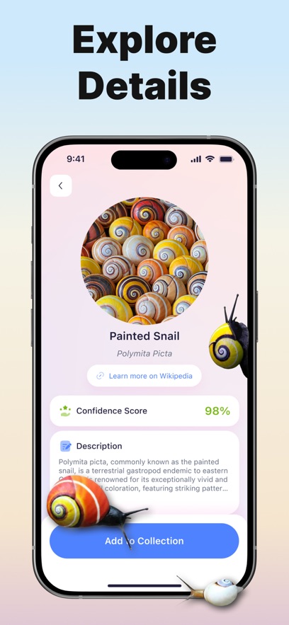 Bug ID����ʶ������������ͼ