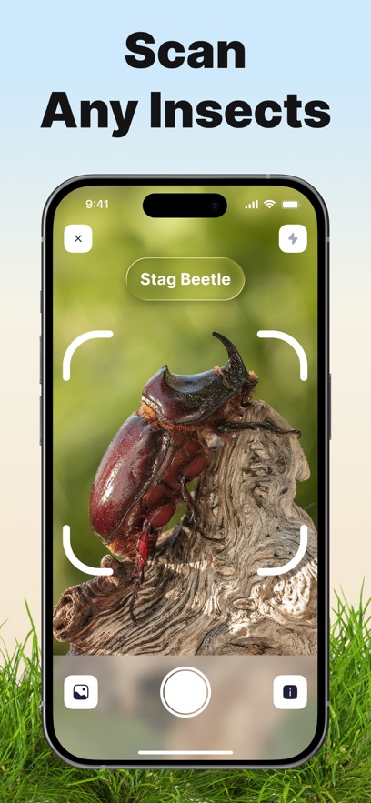 Bug ID����ʶ������������ͼ