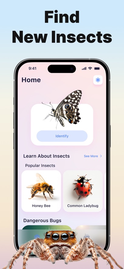 Bug ID����ʶ������������ͼ