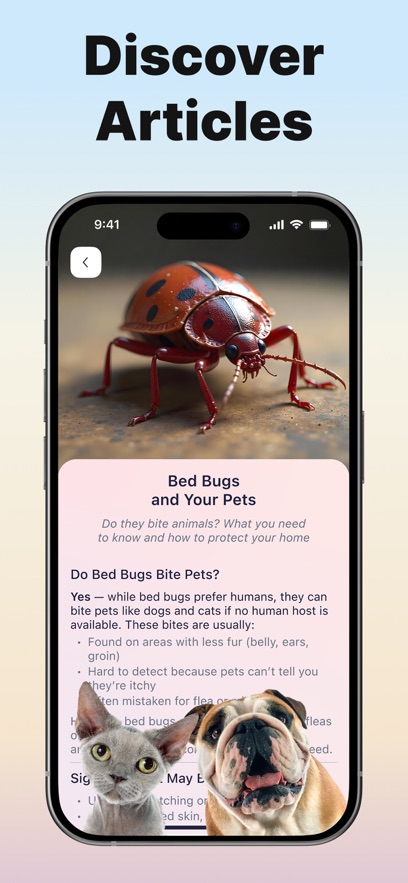 Bug ID����ʶ������������ͼ