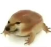 �ҵĵ���app1.0 ��׿��