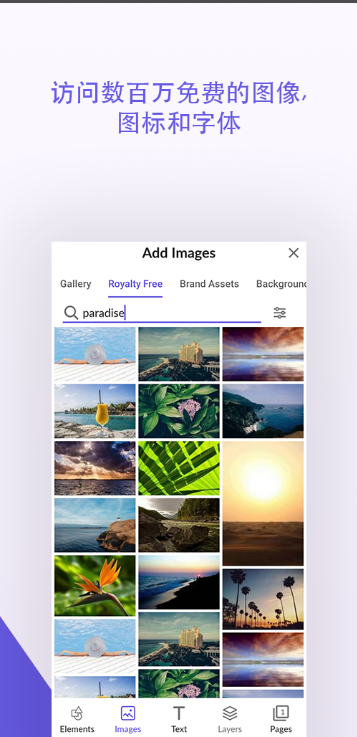 Desygnerƽ������������ͱ༭����ͼ