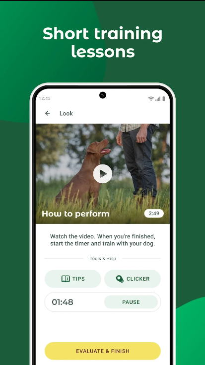 Dogo����ѵ��������ͼ