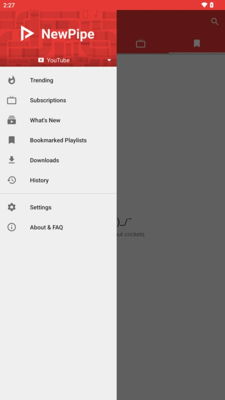 NewPipe安卓版截图