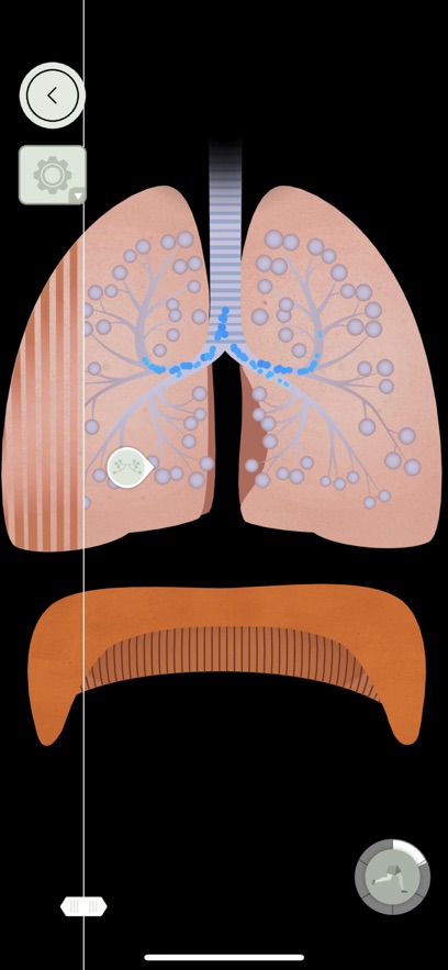 ����̽��Anatomix��׿���ͼ