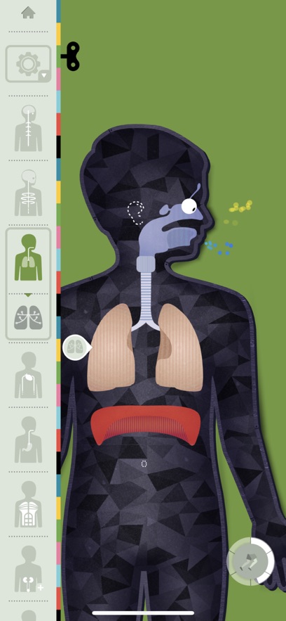 人体探秘Anatomix安卓版截图