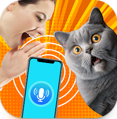 �˶�è�ķ���(Cat Translator)1.8.1 ���°�