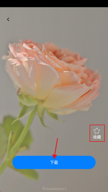 安卓动态免费壁纸app 安卓动态免费壁纸app