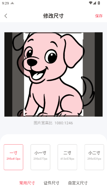 IN��ͼ�ٷ���