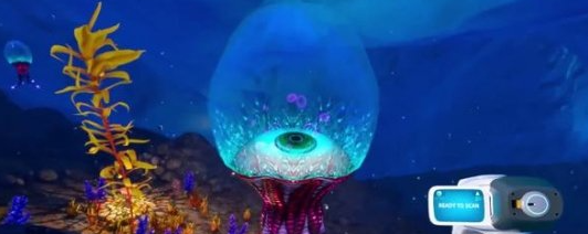 ��Ժ����֮�����ĸ����˵���