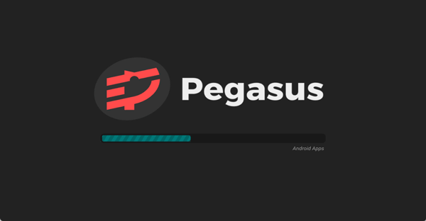 Pegasusģ����(����ģ����)