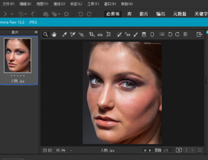 Adobe Bridge2021��ע���