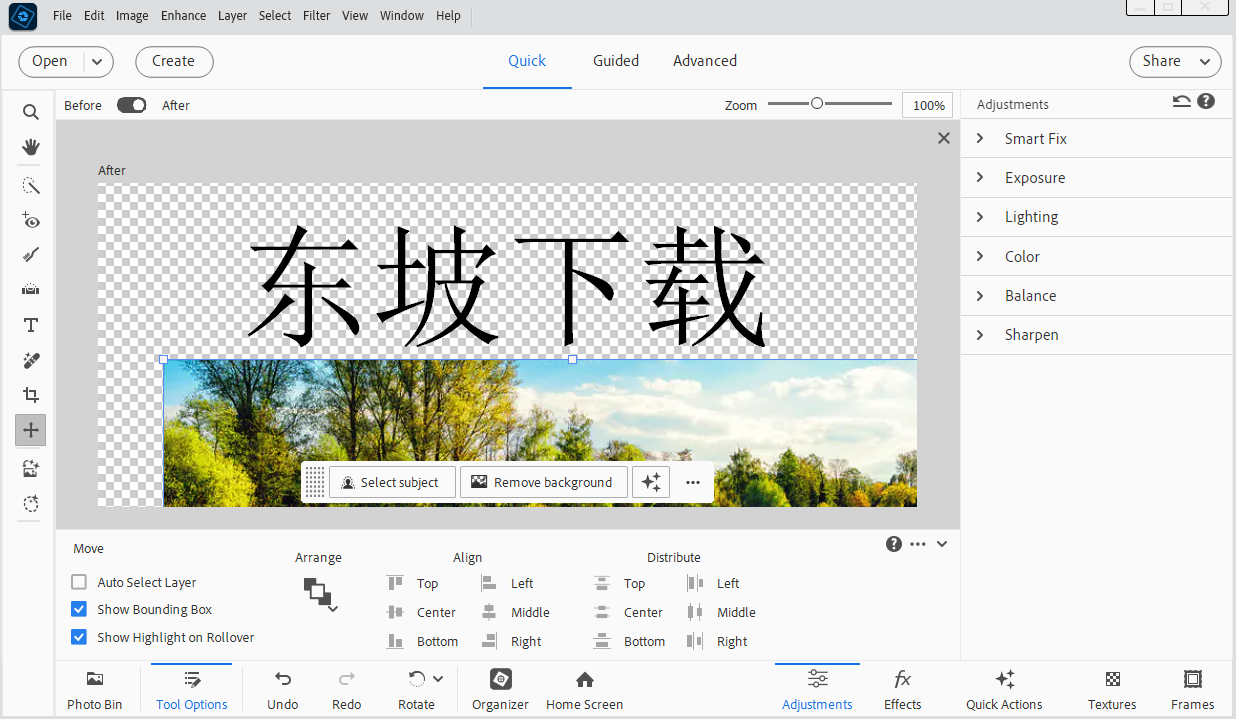 Photoshop Elements2026���氲װ����ͼ0