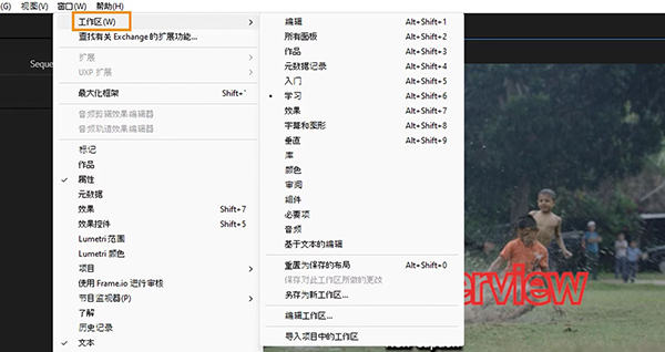 Adobe Premiere Pro2024�����ƽ���ͼ2