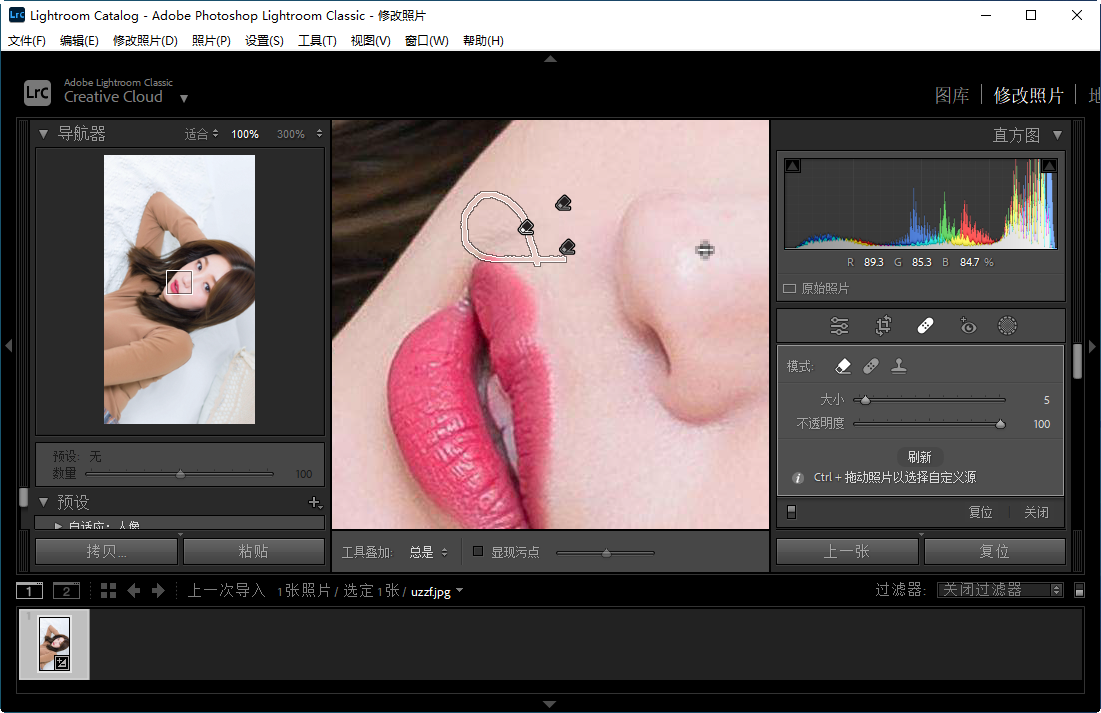 Adobe Lightroom Classic 2023���İ��ͼ2