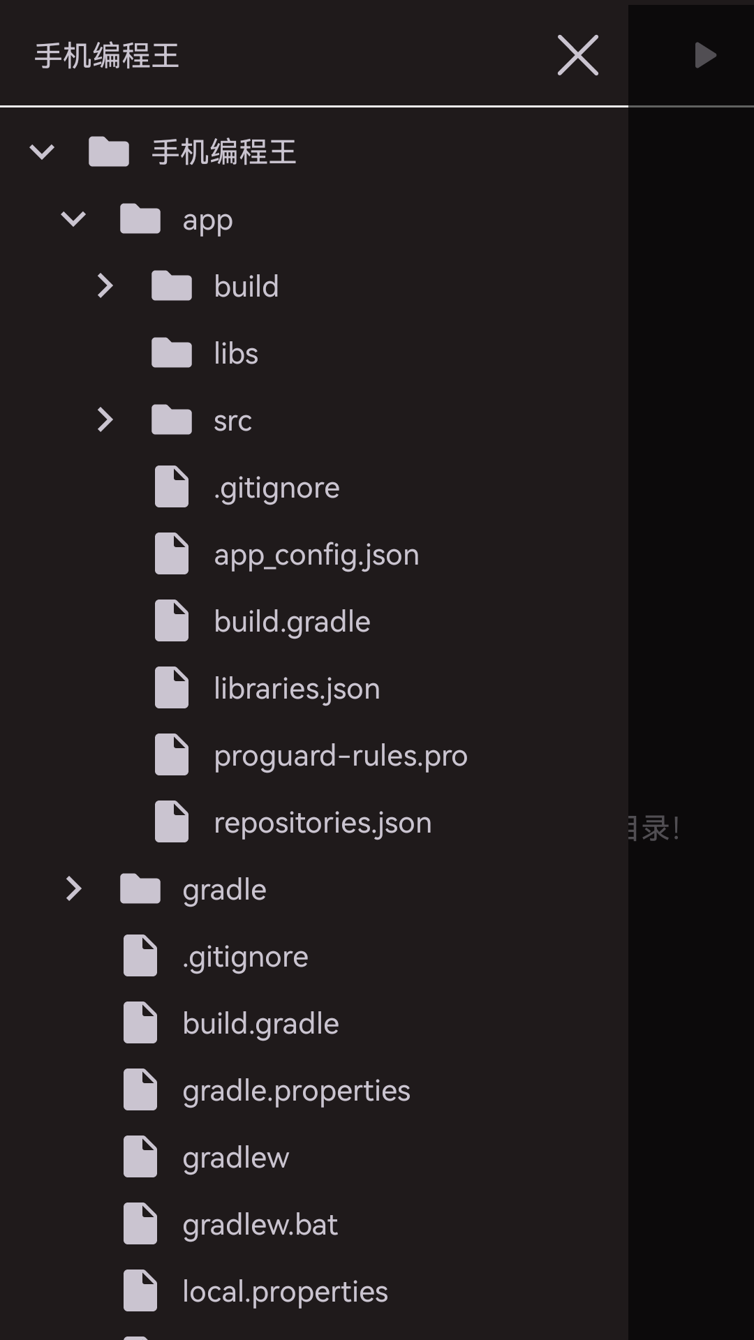 AIDE编译器手机版截图