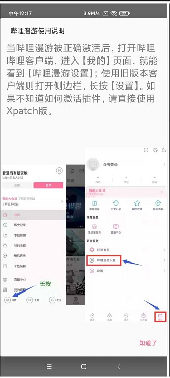 BiliRoaming(哔哩漫游)截图